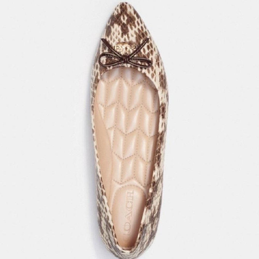 $89 NWT (9.5) Coach Point Flat